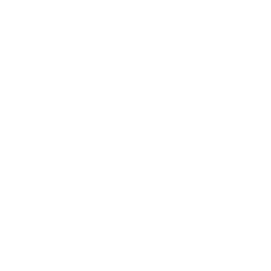 ally logo
